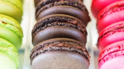 macarons enf