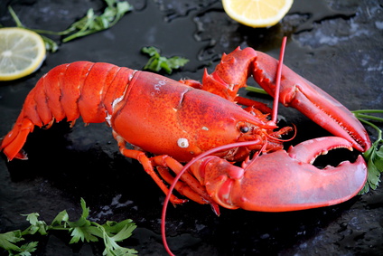 homard